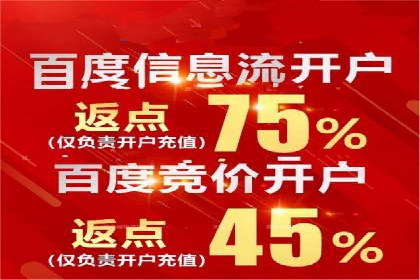 SEM竞价技巧：成功案例揭秘